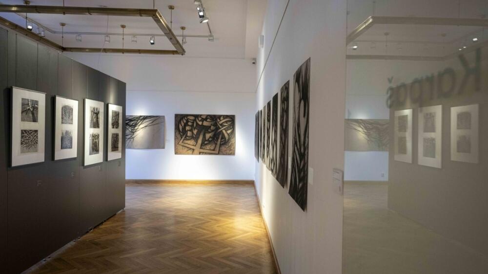 Výstava Romana Karpaše, foto: Artur Irma